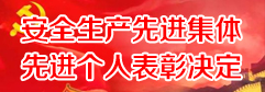 关于表彰2020年度安全生产先进单位与先进个人的决定